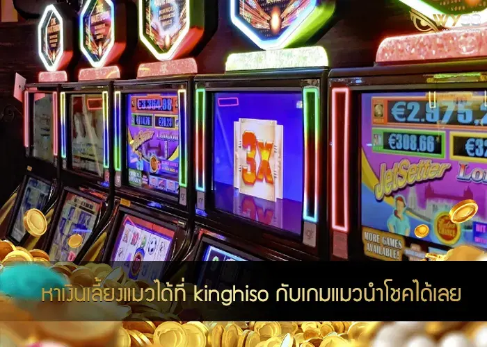 หาเงินเลี้ยงแมวได้ที่ kinghiso กับเกมแมวนำโชคได้เลย